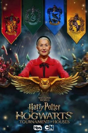 Harry Potter: Il torneo delle case Hogwarts streaming guardaserie