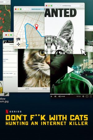 Giù le mani dai gatti: caccia a un killer online streaming guardaserie