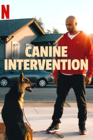 Canine Intervention streaming guardaserie